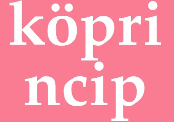 Synonym köprincip