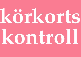 Synonym körkortskontroll