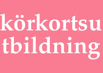 Synonym körkortsutbildning
