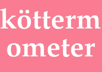 Synonym köttermometer