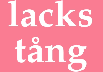 Synonym lackstång