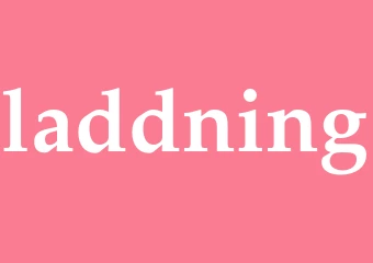 Synonym laddning