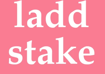 Synonym laddstake