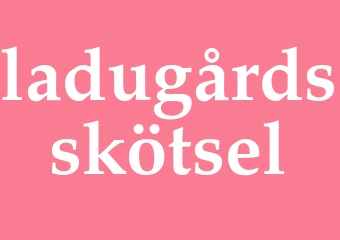 Synonym ladugårdsskötsel