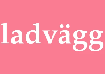 Synonym ladvägg