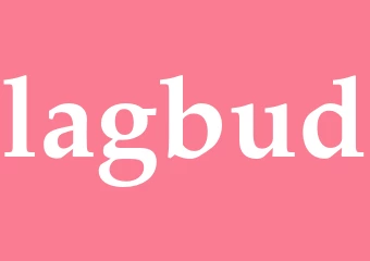 Synonym lagbud