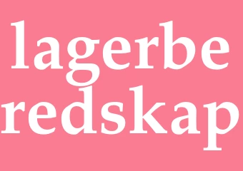 Synonym lagerberedskap