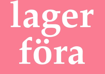 Synonym lagerföra