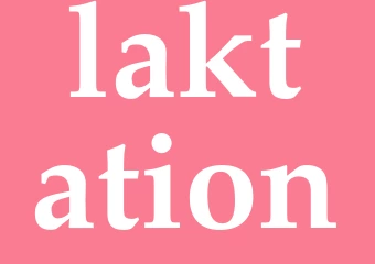 Synonym laktation