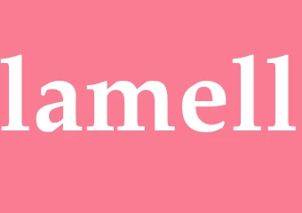 Synonym lamell