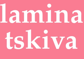 Synonym laminatskiva