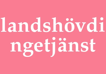Synonym landshövdingetjänst