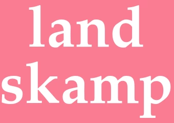 Synonym landskamp