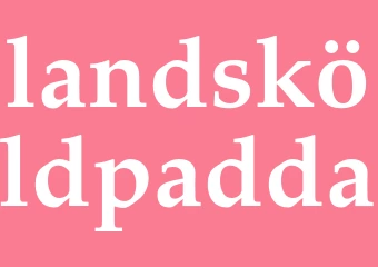 Synonym landsköldpadda