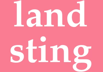 Synonym landsting