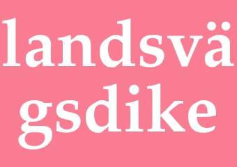 Synonym landsvägsdike