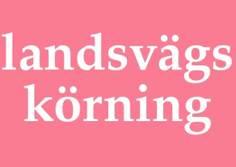 Synonym landsvägskörning