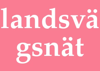 Synonym landsvägsnät