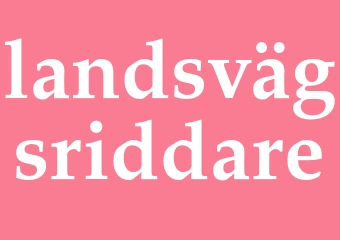 Synonym landsvägsriddare