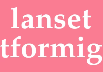 Synonym lansettformig
