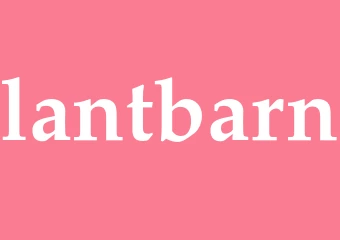Synonym lantbarn