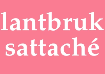 Synonym lantbruksattaché