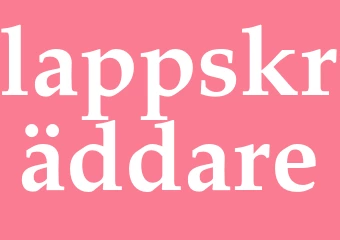 Synonym lappskräddare