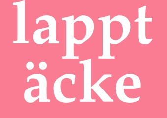 Synonym lapptäcke