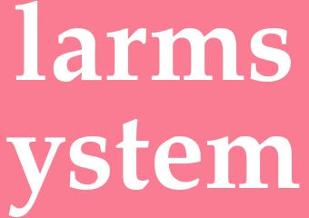 Synonym larmsystem
