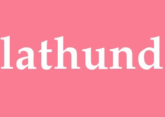 Synonym lathund