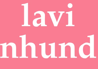 Synonym lavinhund