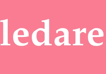 Synonym ledare
