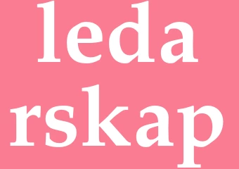 Synonym ledarskap