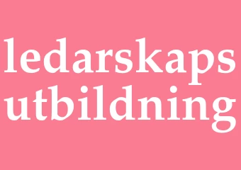 Synonym ledarskapsutbildning