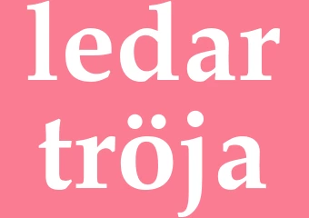 Synonym ledartröja