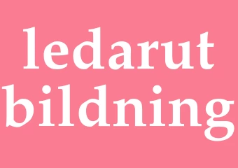 Synonym ledarutbildning
