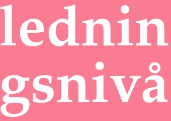 Synonym ledningsnivå