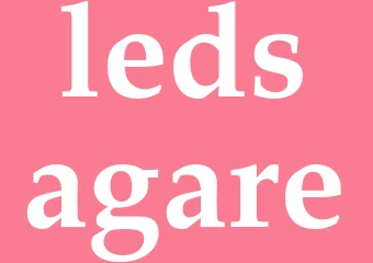 Synonym ledsagare