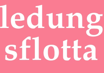 Synonym ledungsflotta