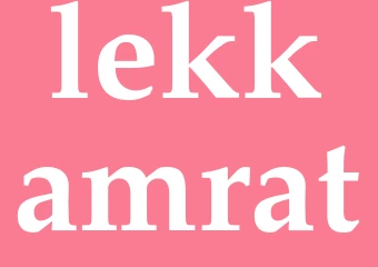 Synonym lekkamrat