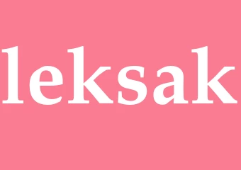 Synonym leksak