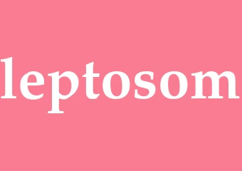 Leptosom Arti Kata