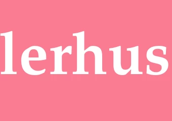 Synonym lerhus