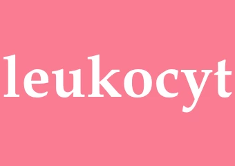 Synonym leukocyt