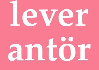 Synonym leverantör