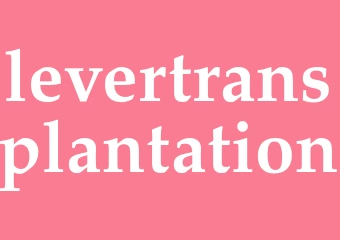 Synonym levertransplantation