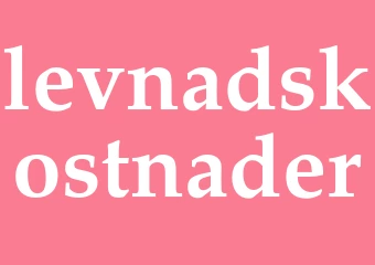 Synonym levnadskostnader