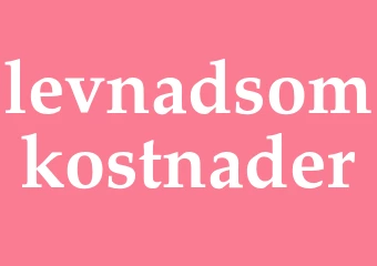 Synonym levnadsomkostnader