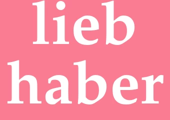 Synonym liebhaber
