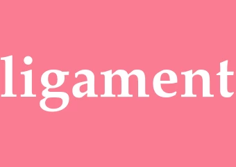 Synonym ligament